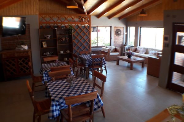 Lounge, bar, comedor 5