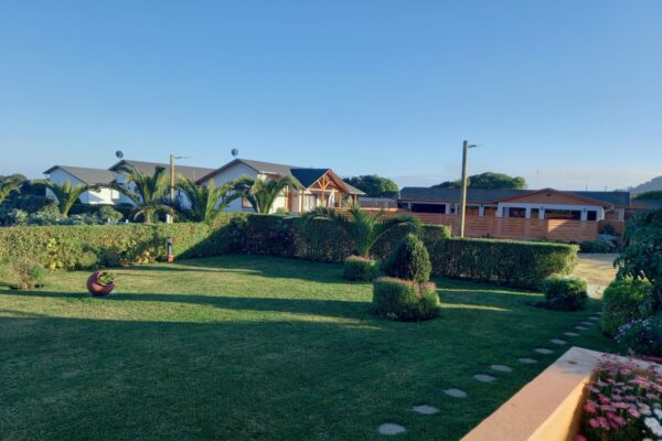 WhatsApp Image 2021-08-08 at 19.01.56